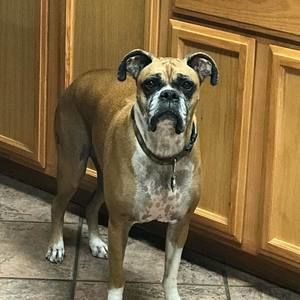 Meet your Posher, Sharon